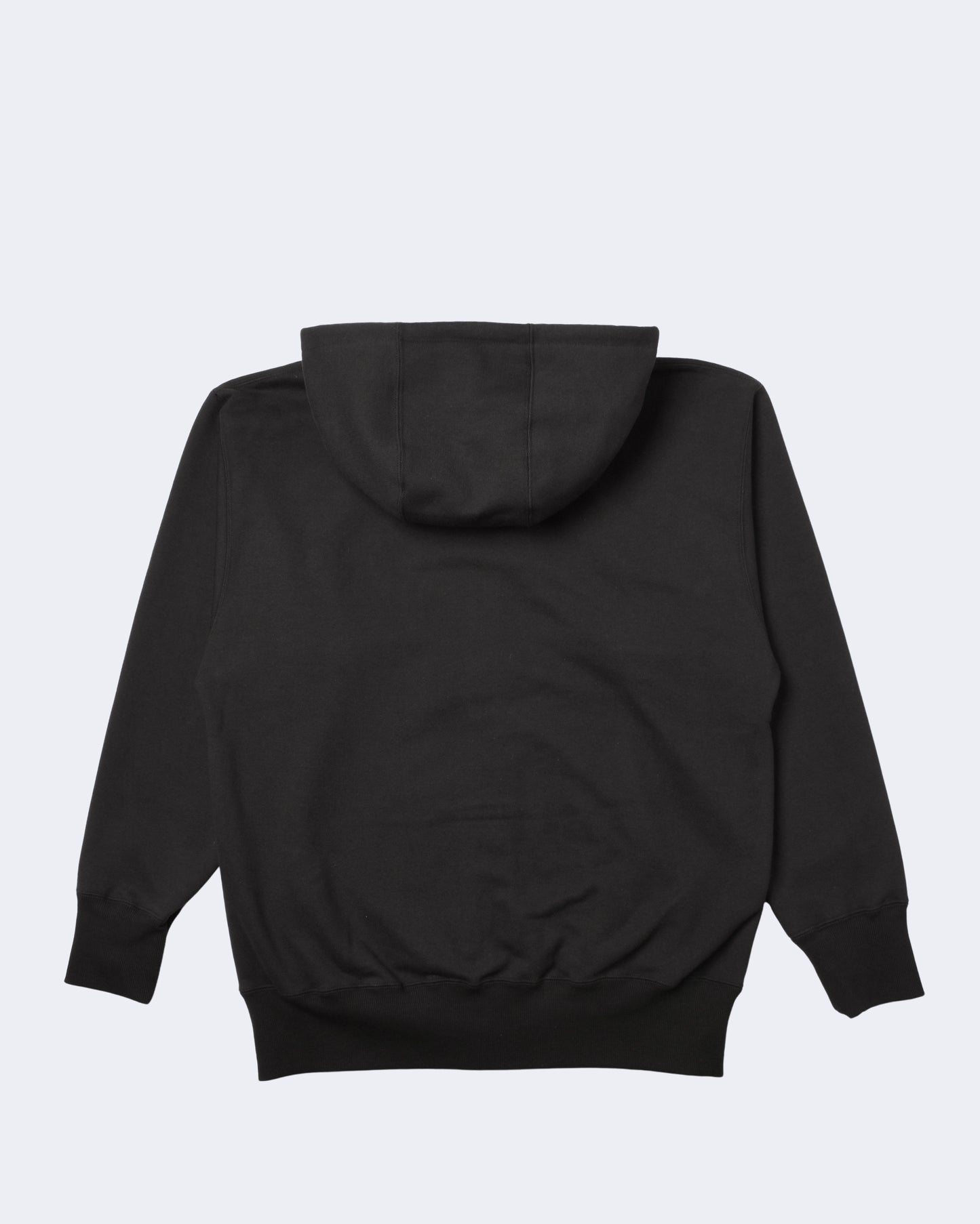 PUFF PRINT ZIP HOODIE