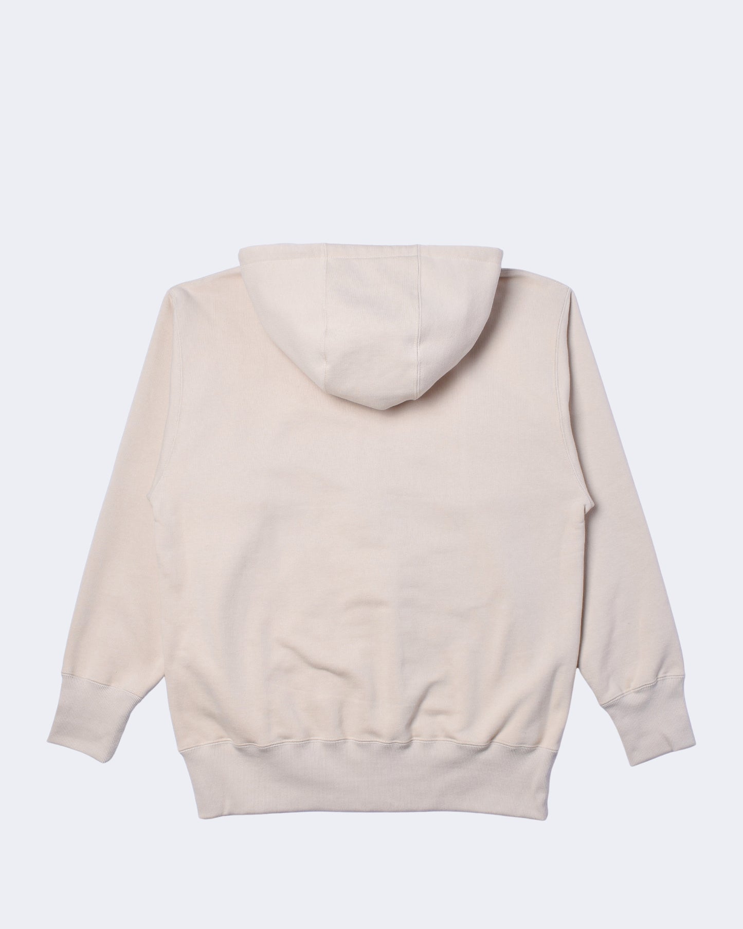 PUFF PRINT ZIP HOODIE